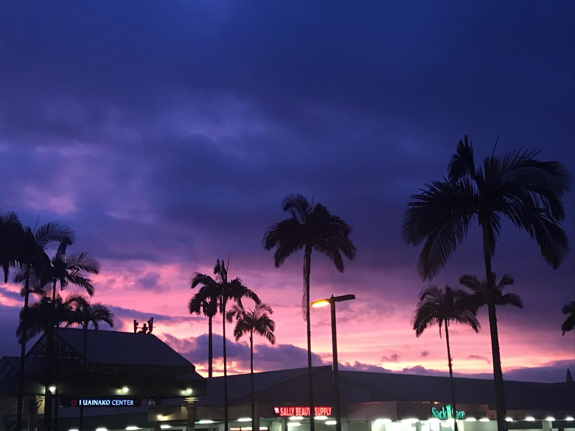 美国希洛海外学习目的地01