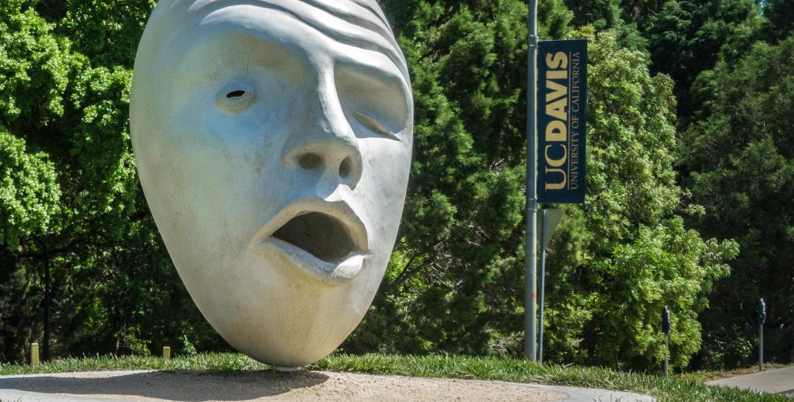 加州大学戴维斯分校内容01