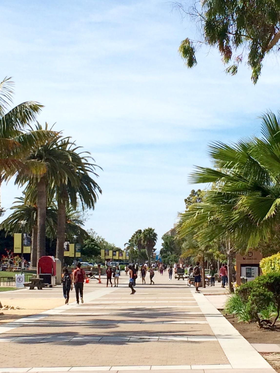 加州大学圣塔芭芭拉分校内容01