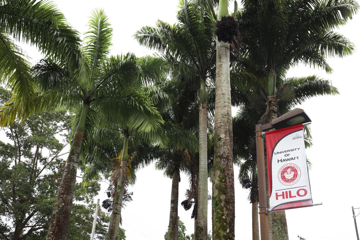 夏威夷大学希洛分校特色03