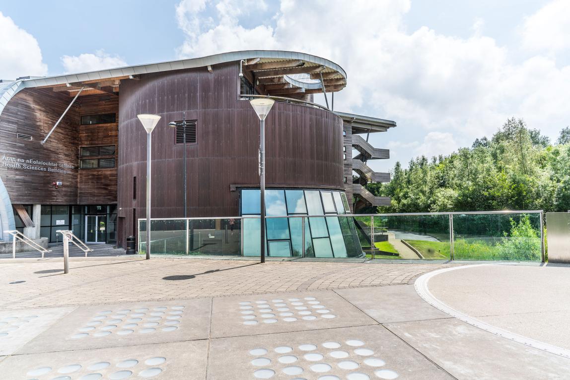 利默里克大学特色05