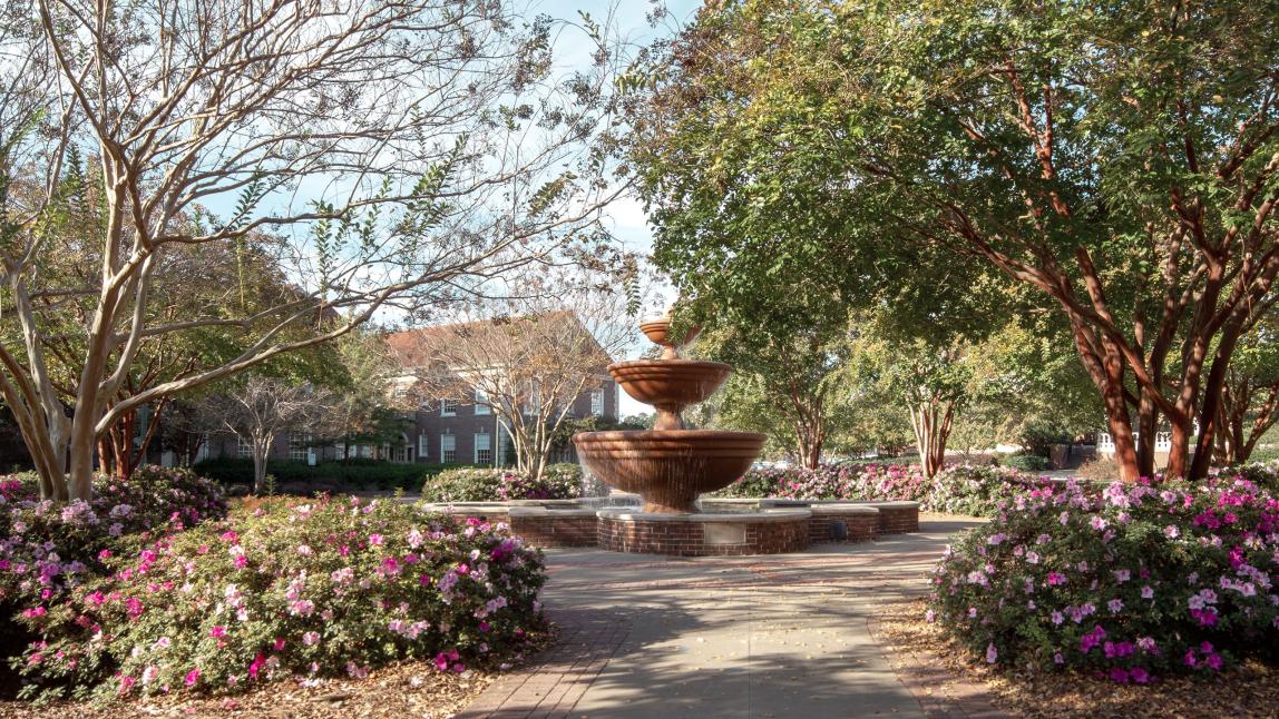 University of Mississippi  Content 011