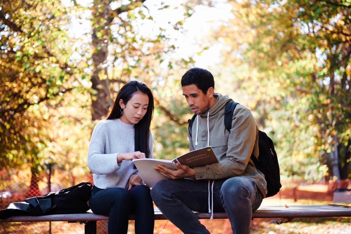 多伦多大学内容16