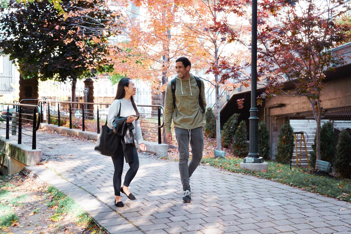 多伦多大学内容17