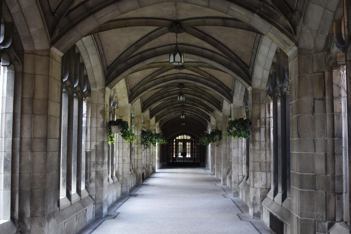 多伦多大学内容24