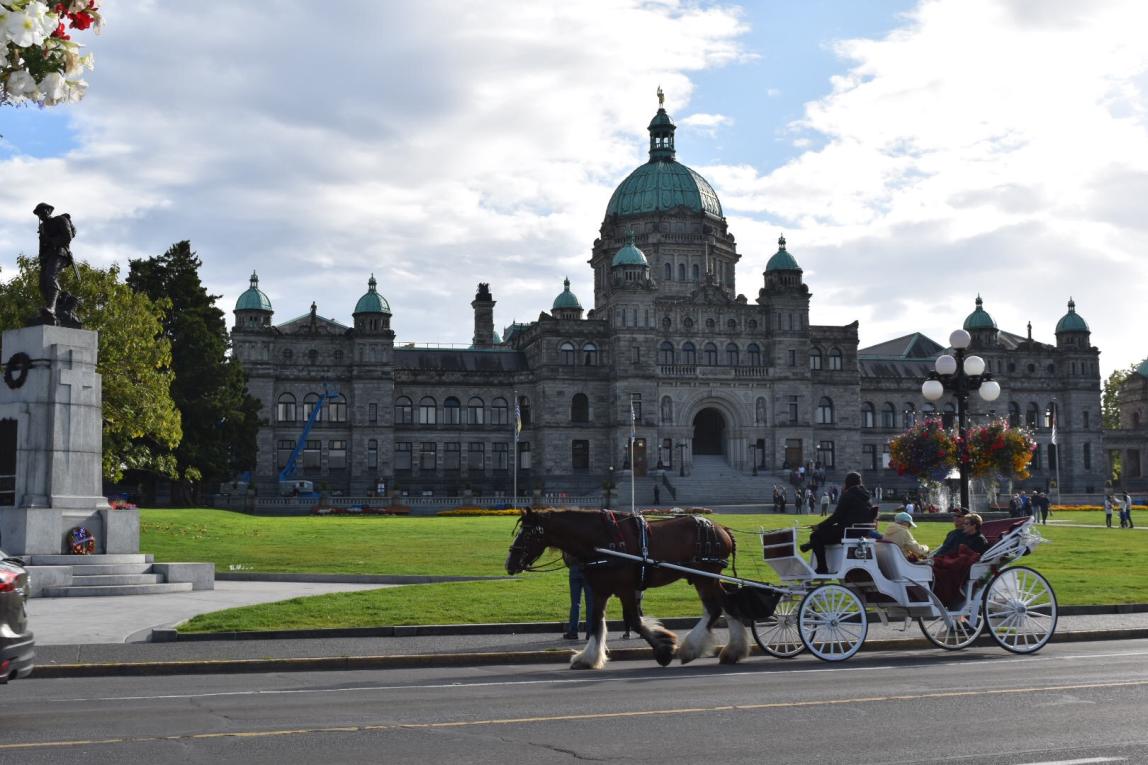 维多利亚大学内容02