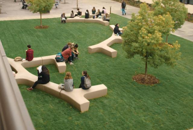 California State University Long Beach Content 11