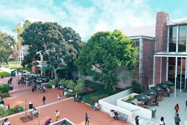 加州州立大学长滩分校特色03