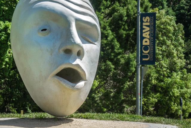 加州大学戴维斯分校内容01