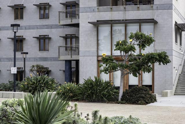 University of California, San Diego Content 011