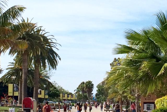 加州大学圣塔芭芭拉分校内容01