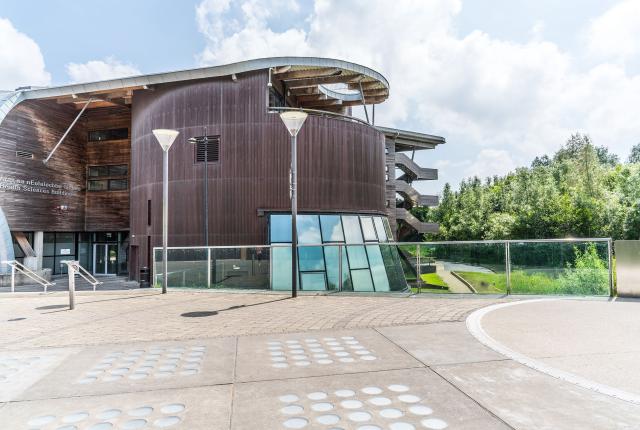 利默里克大学特色05