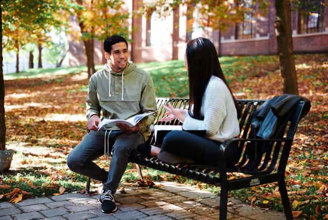 多伦多大学内容13