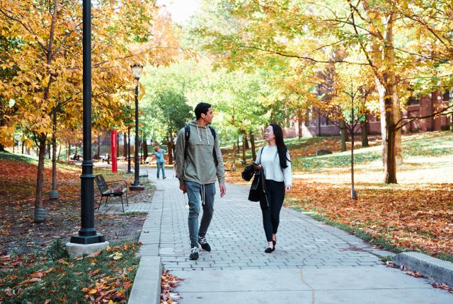 多伦多大学内容14