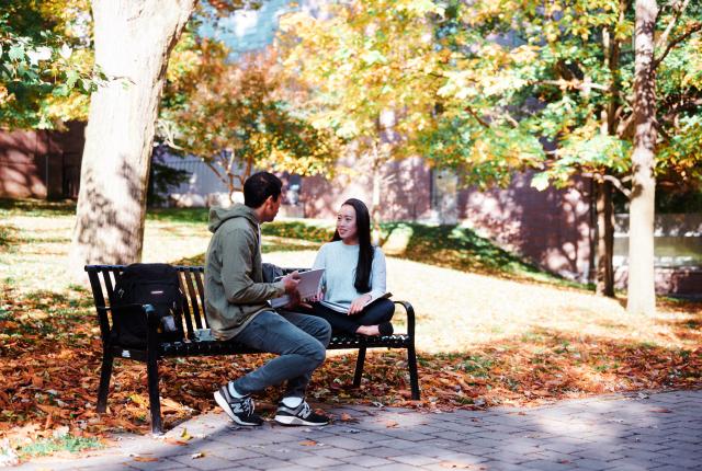 多伦多大学内容07