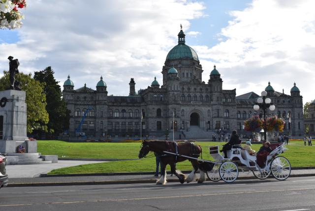 维多利亚大学内容02