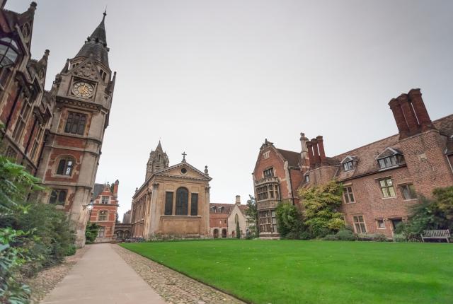 stone pathway next to lawn of green grass and pointed brick buildings