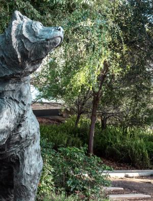 加州大学伯克利分校内容014