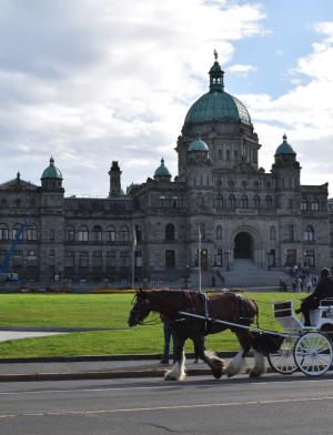 维多利亚大学内容02