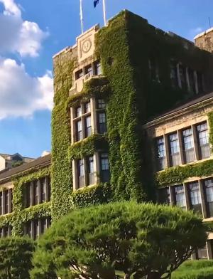 延世大学特色02