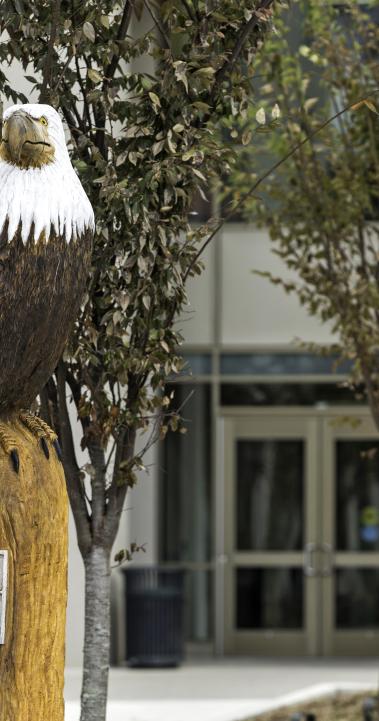 美利坚大学特色03