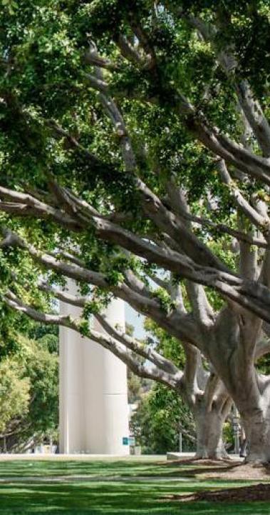 加州州立大学长滩分校特色02