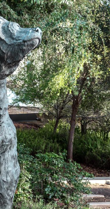 加州大学伯克利分校内容014