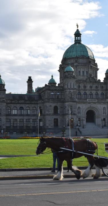 维多利亚大学内容02