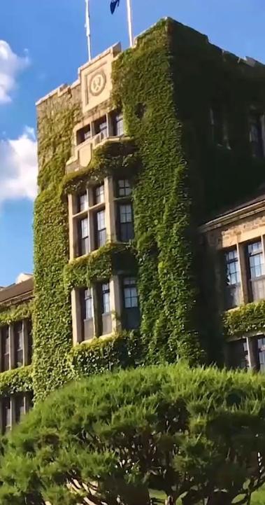 延世大学特色02